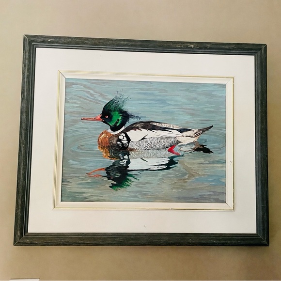 Other - Framed Waterfowl Print - Colorful Duck Illustration